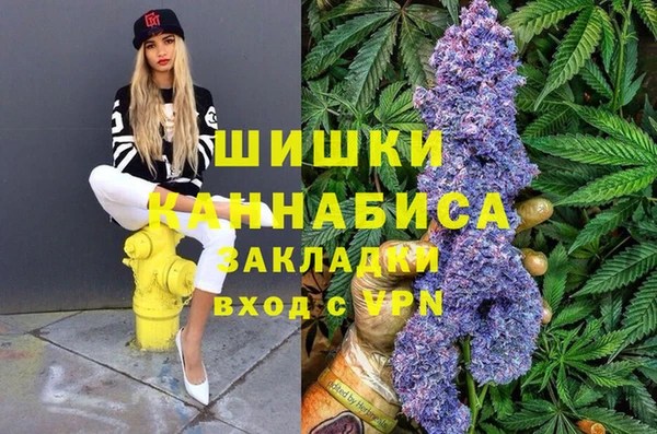 амф Горно-Алтайск