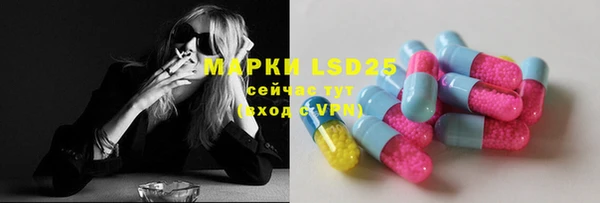 apvp Мегион